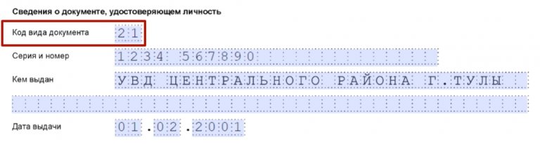 300 dpi для налоговой. Код вида документа. Код вида документа паспорт. Коды видов документов для налоговой. Сведения о документе удостоверяющем личность код вида документа.