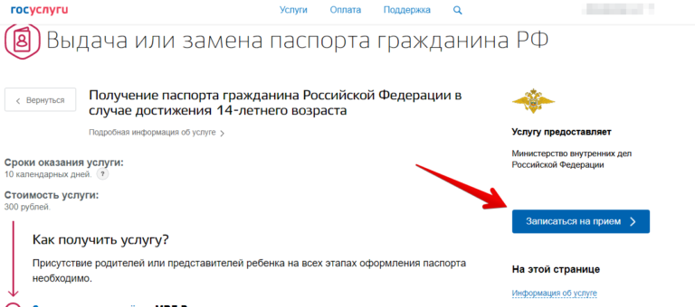Как оплатить госпошлину через госуслуги за загранпаспорт старого образца